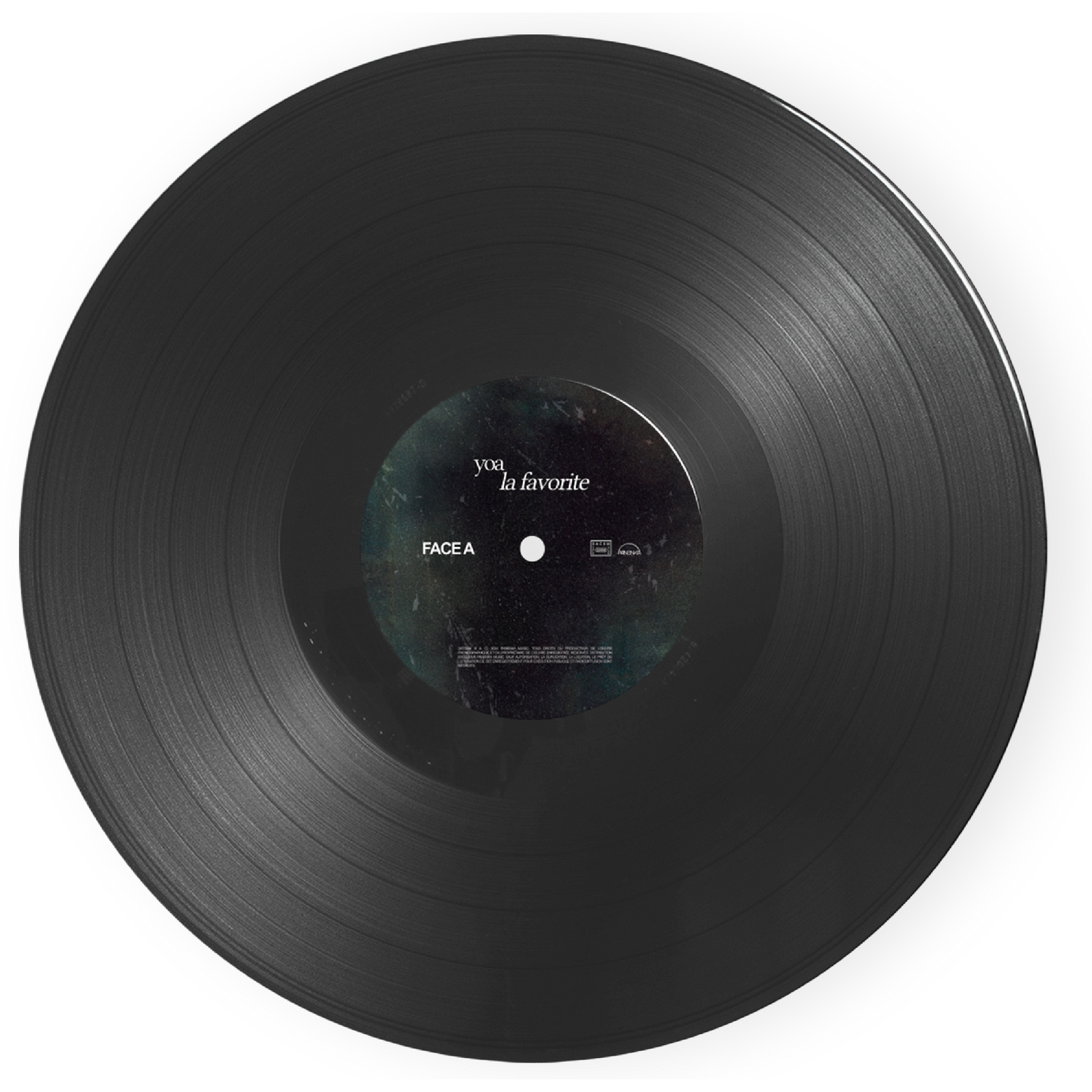 VINYLE NOIR LA FAVORITE
